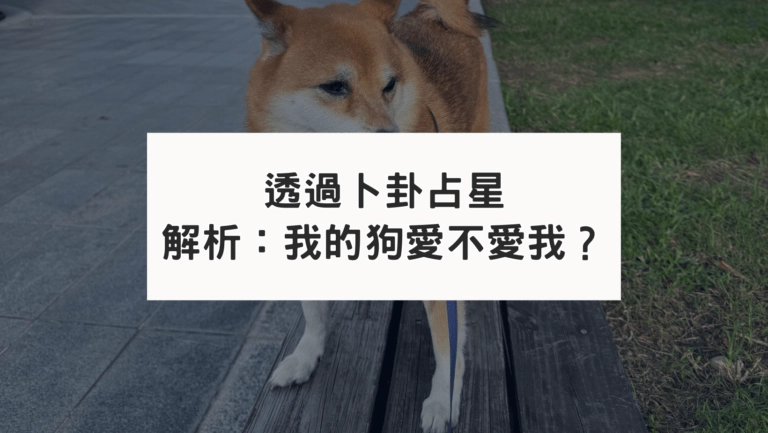 透過卜卦占星解析我的狗愛不愛我