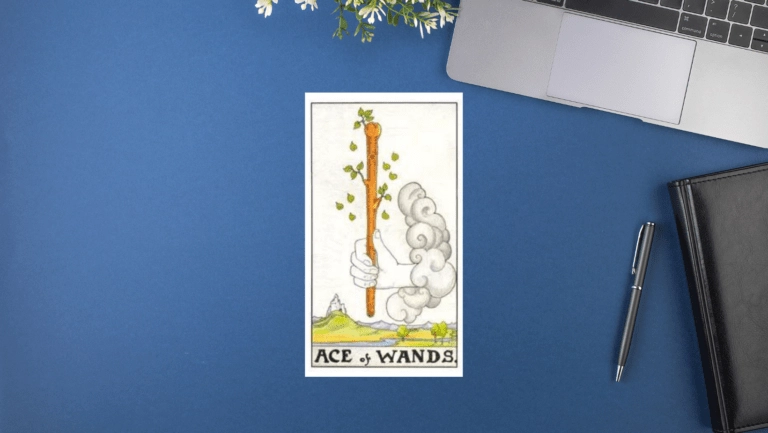 圖解塔羅牌教學：權杖王牌