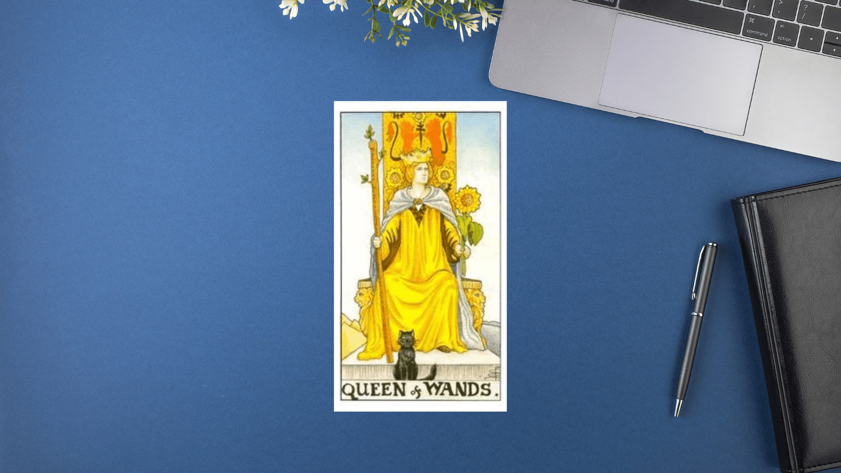 塔羅宮廷牌意解析｜Queen of wands權杖王后