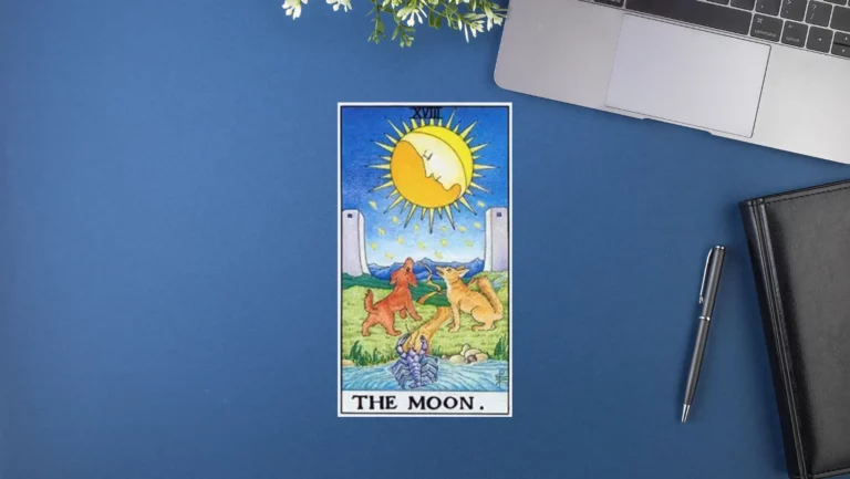 塔羅牌意解析｜18.The Moon 月亮