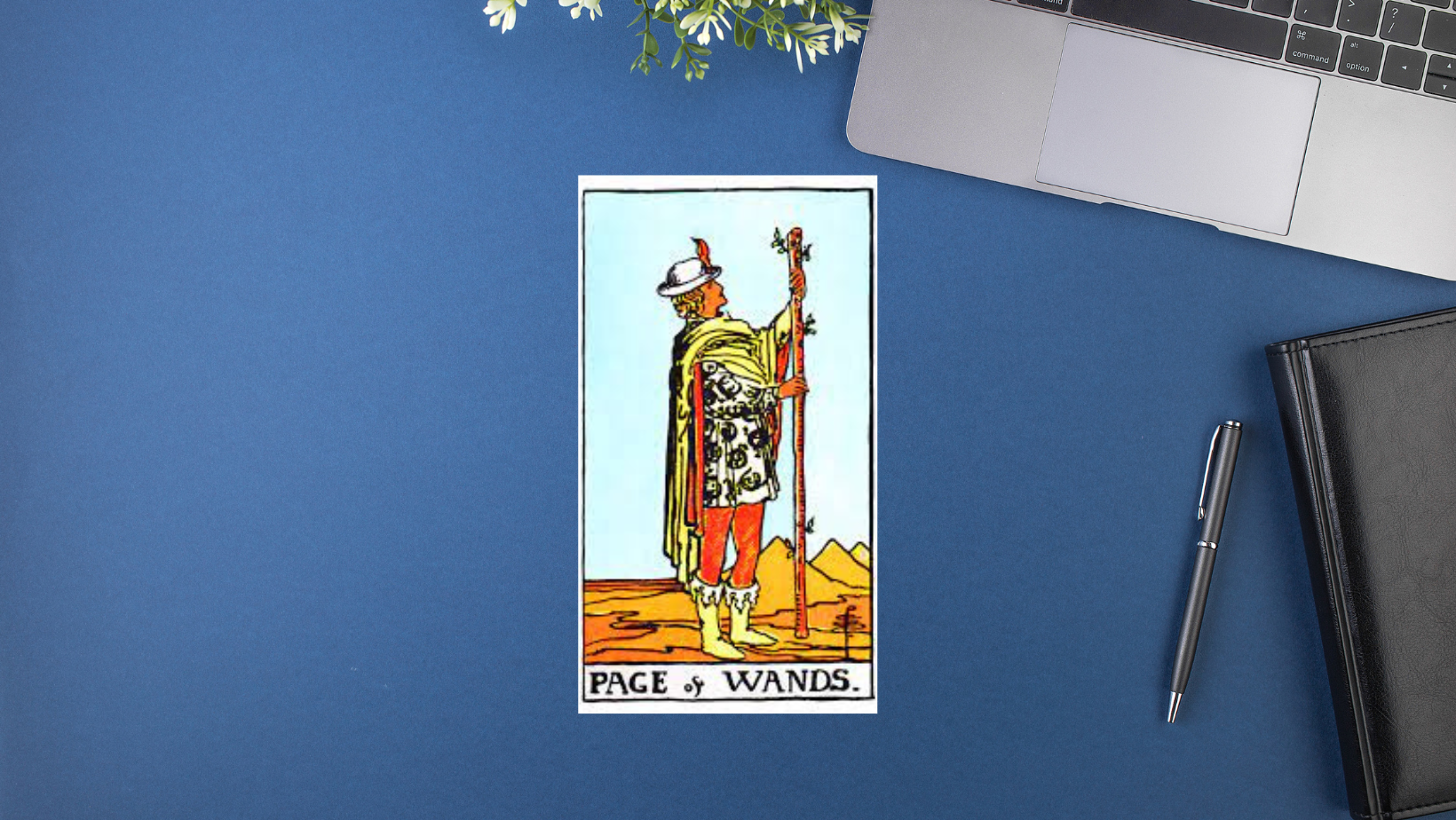 塔羅宮廷牌意解析｜Page of wands權杖侍者