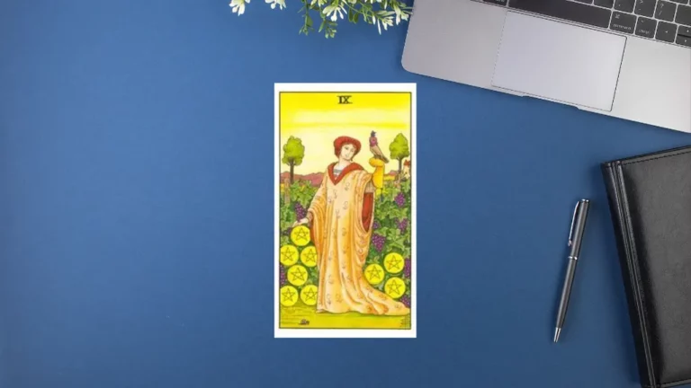 塔羅牌意解析｜Nine of Pentacles 錢幣九