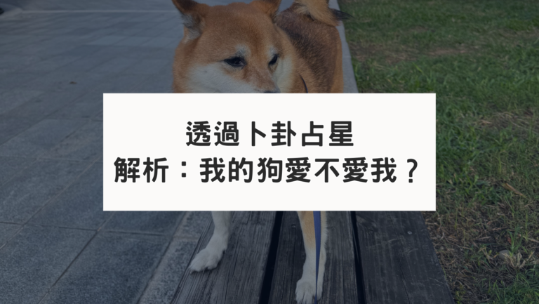 透過卜卦占星解析我的狗愛不愛我